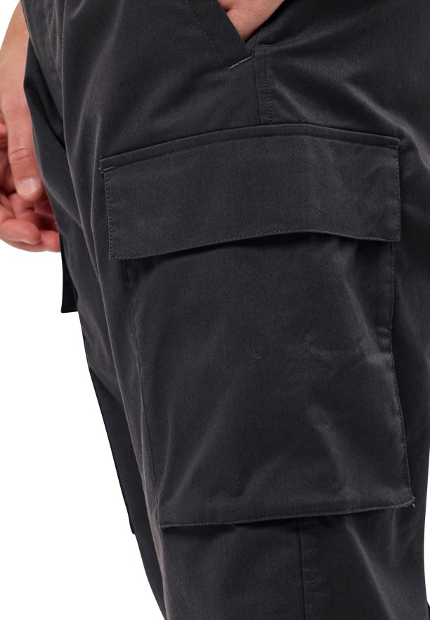 Black Men Jack Wolfskin Arctic Road Cargo Pants | 20587379