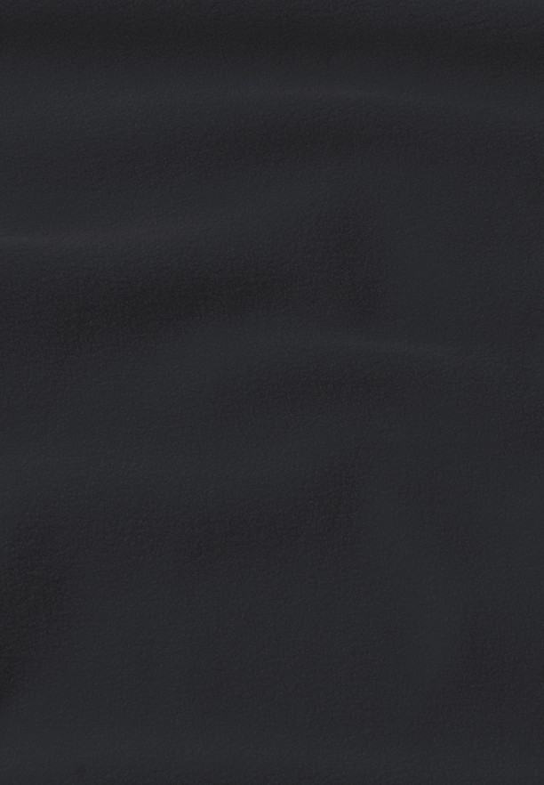 Black Men Jack Wolfskin Baiselberg Fz Fleece Jackets | 90922287