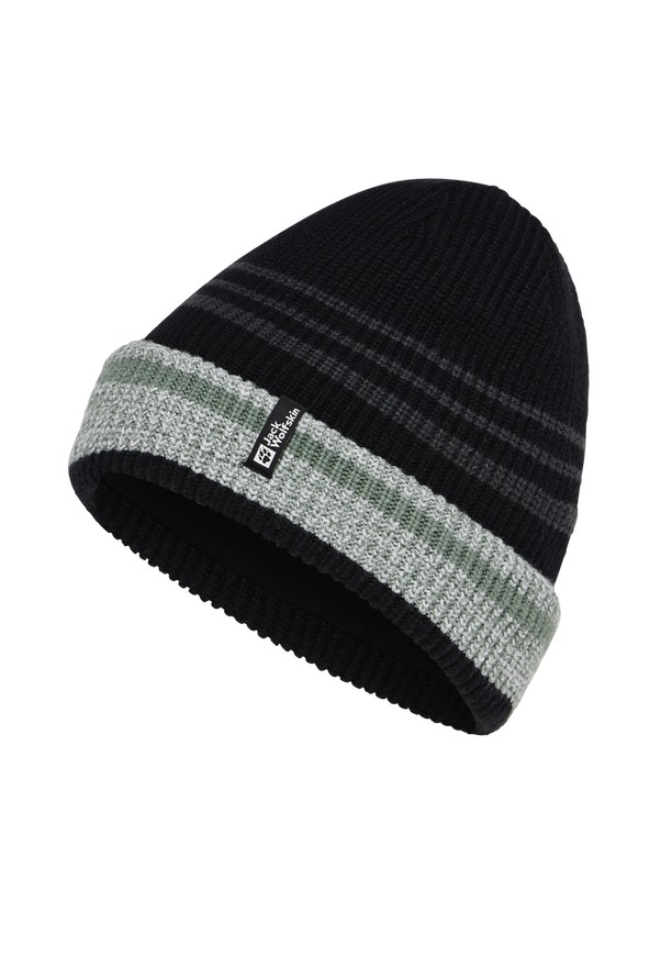 Black Men Jack Wolfskin Gleam Beanie | 45603290