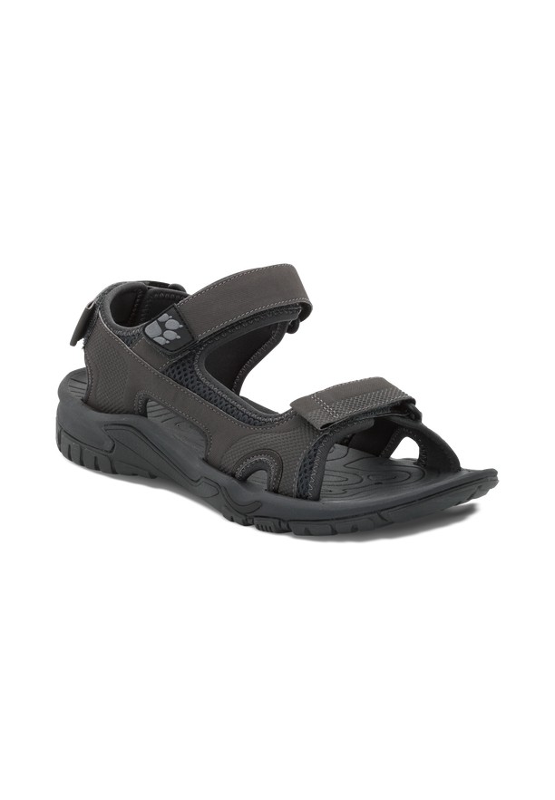 Black Men Jack Wolfskin Lakewood Cruise Sandals | 27269566