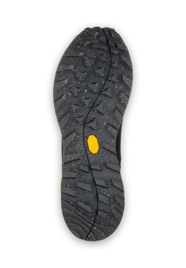 Black Men Jack Wolfskin Terraquest Low Hiking Shoes | 22516393