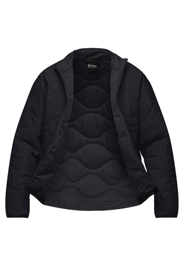 Black Men Jack Wolfskin Wandersome Ins Jackets | 99261438