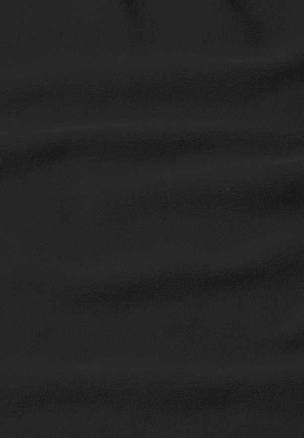 Black Women Jack Wolfskin Baiselberg Hooded Fz Fleece Jackets | 50608904