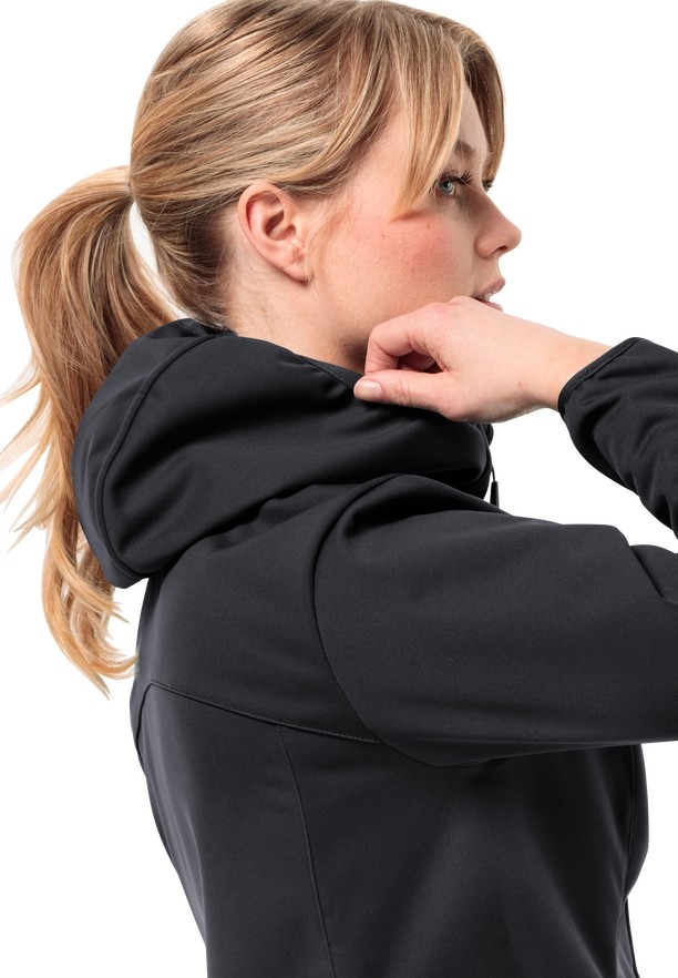 Black Women Jack Wolfskin Bornberg Hoody Jackets | 31194250
