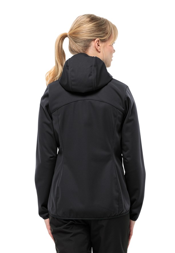 Black Women Jack Wolfskin Bornberg Hoody Jackets | 31194250