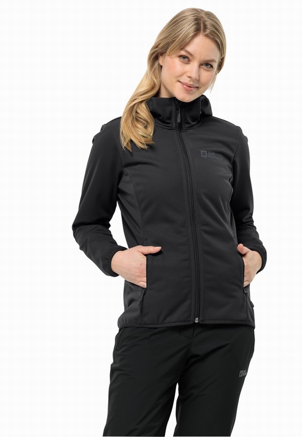 Black Women Jack Wolfskin Bornberg Hoody Jackets | 31194250