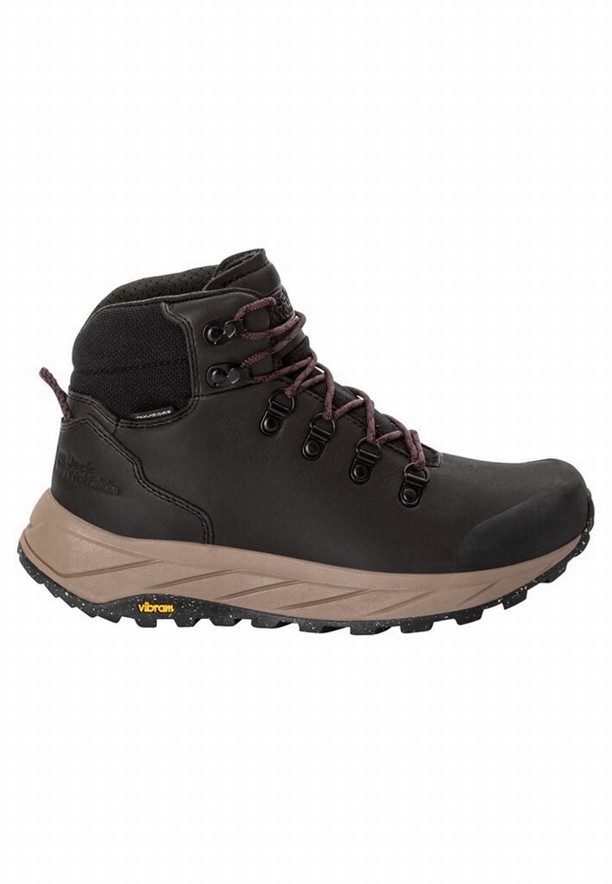 Black Women Jack Wolfskin Terraquest X Texapore Mid Hiking Shoes | 96072378