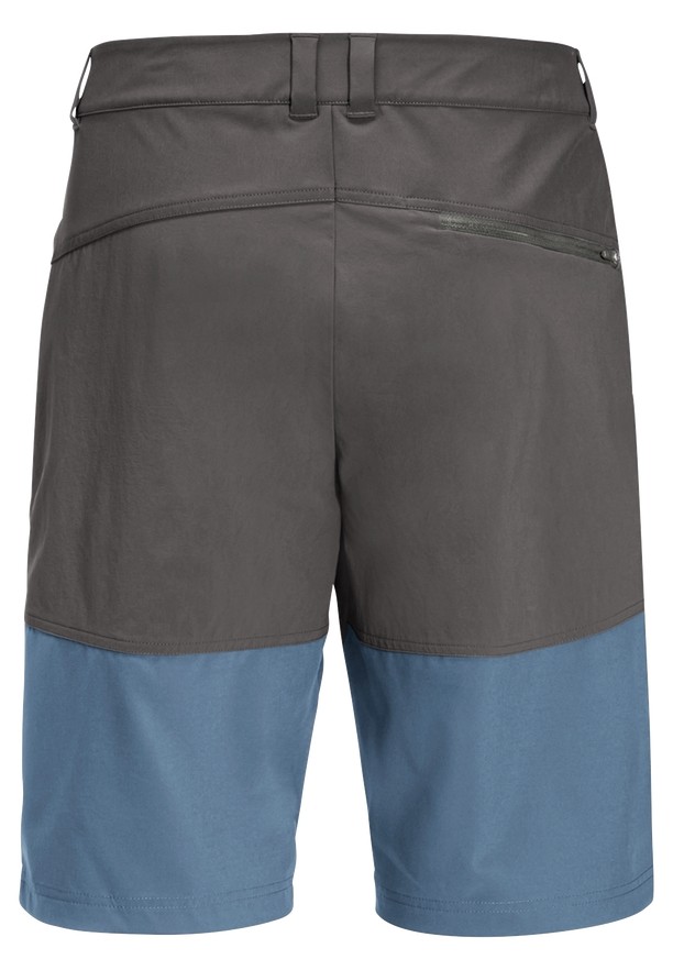 Blue Men Jack Wolfskin Hiking Alpine Shorts | 80930032