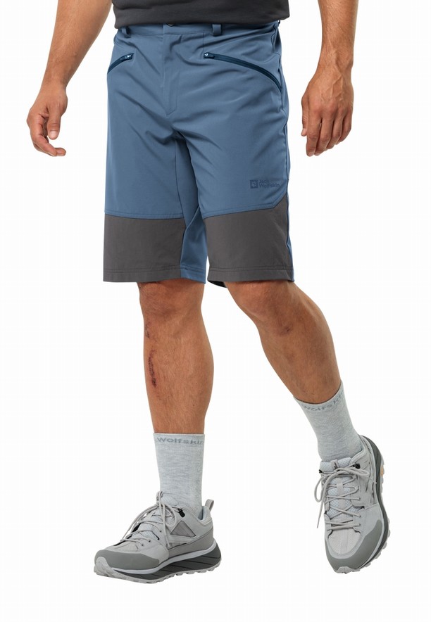 Blue Men Jack Wolfskin Hiking Alpine Shorts | 80930032