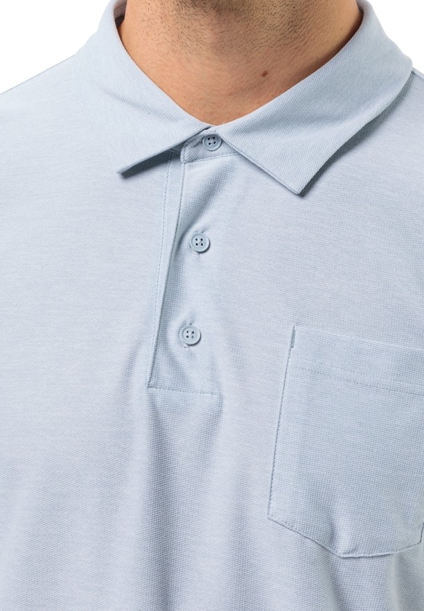 Blue Men Jack Wolfskin Terral Polo Shirts | 54899069