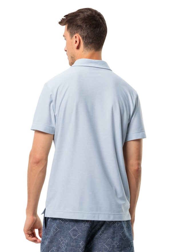 Blue Men Jack Wolfskin Terral Polo Shirts | 54899069