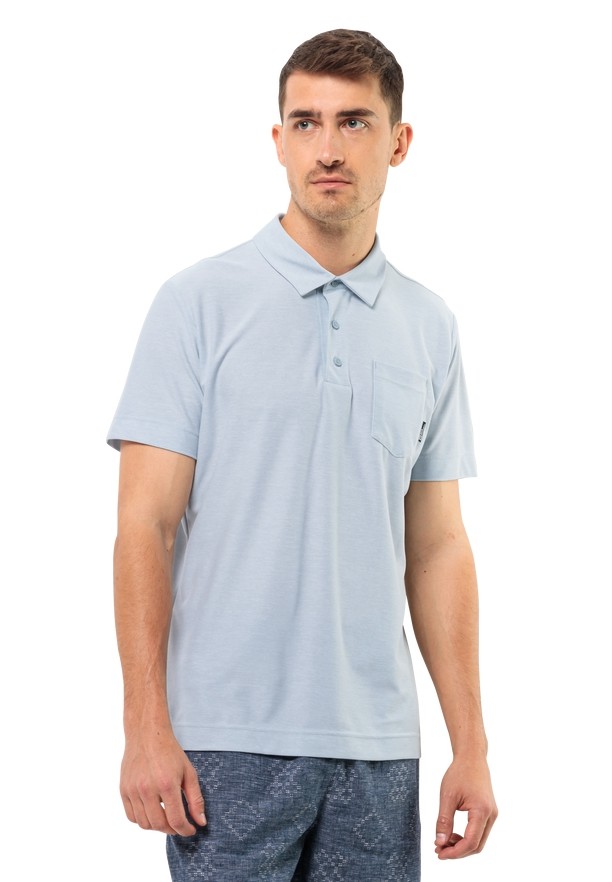 Blue Men Jack Wolfskin Terral Polo Shirts | 54899069