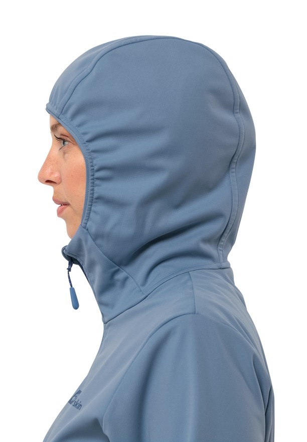 Blue Women Jack Wolfskin Feldberg Hoody Softshell Jackets | 18731724