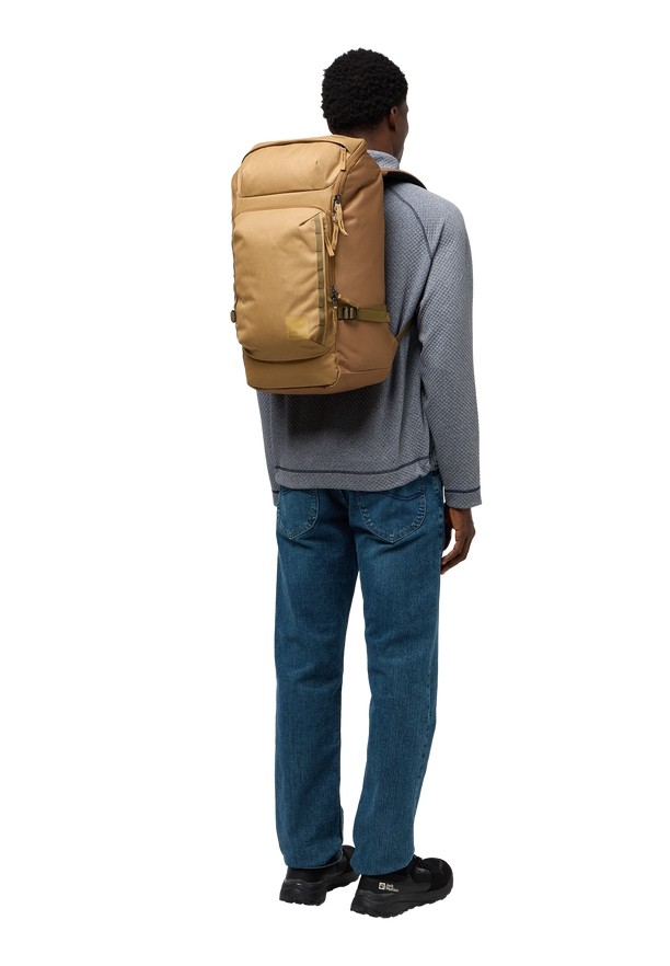Brown Men Jack Wolfskin Dachsberg Daypack | 54815161