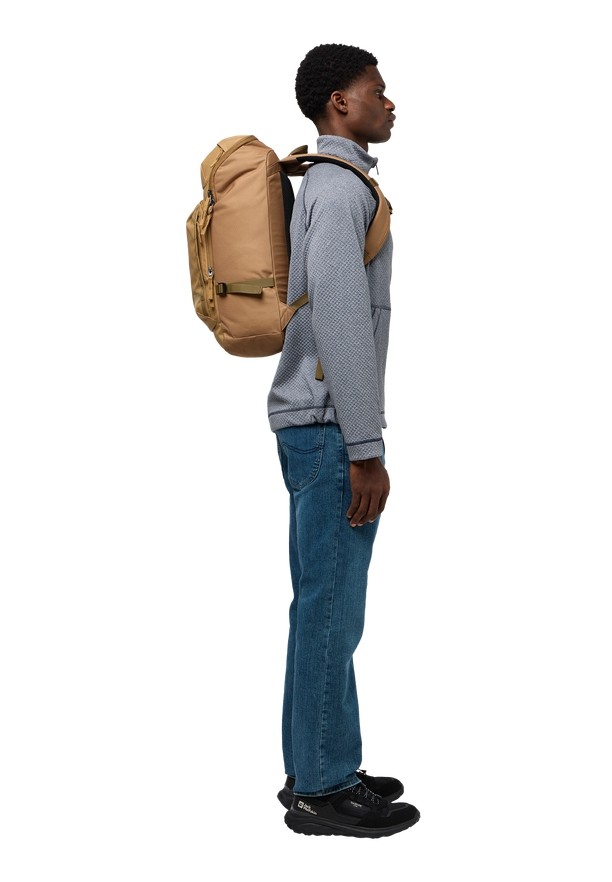 Brown Men Jack Wolfskin Dachsberg Daypack | 54815161