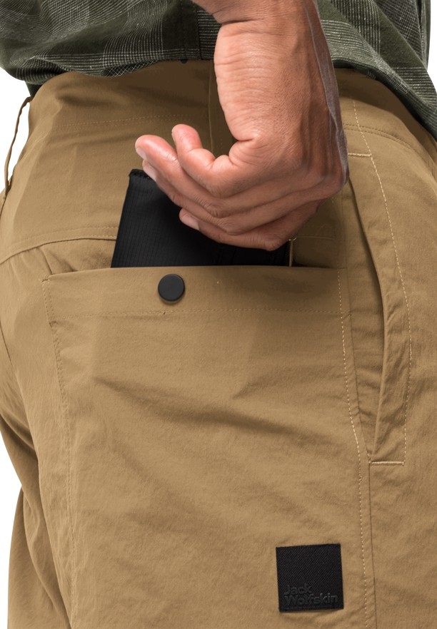 Brown Men Jack Wolfskin Desert Pants | 84313877