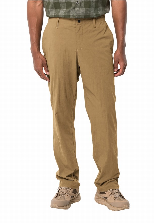 Brown Men Jack Wolfskin Desert Pants | 84313877