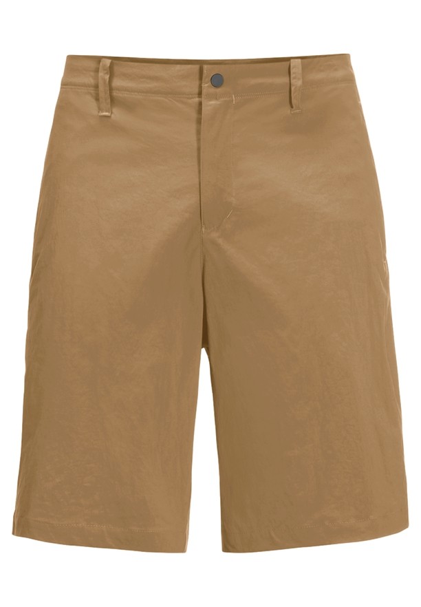 Brown Men Jack Wolfskin Desert Shorts | 69968616