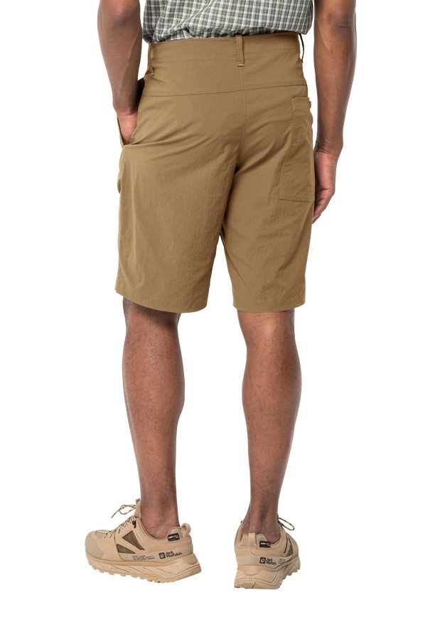 Brown Men Jack Wolfskin Desert Shorts | 69968616