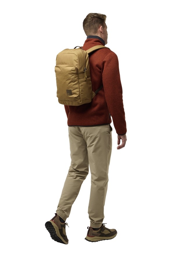 Brown Men Jack Wolfskin Taubenberg Daypack | 80290087