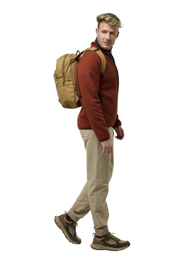 Brown Men Jack Wolfskin Taubenberg Daypack | 80290087