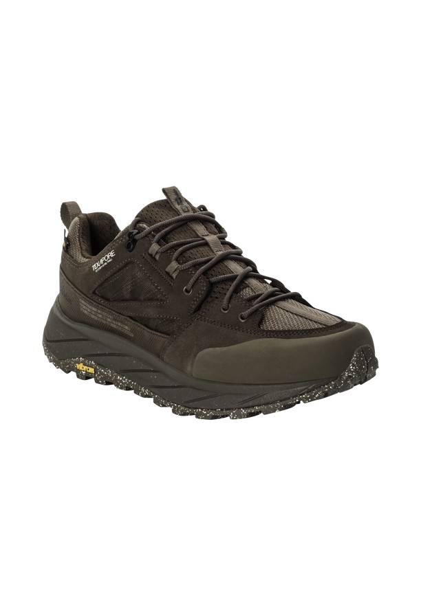 Brown Men Jack Wolfskin Terraquest Texapore Low Hiking Shoes | 59429401