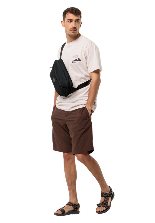 Brown Men Jack Wolfskin Wave Breaker Sandals | 51579940