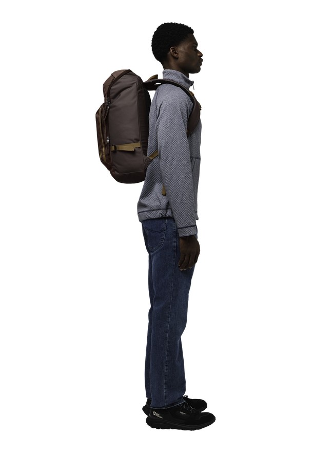 Burgundy Women Jack Wolfskin Dachsberg Daypack | 71793759