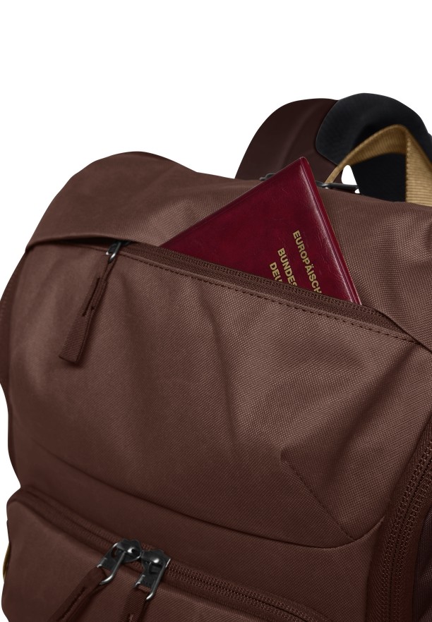 Chocolate Men Jack Wolfskin Dachsberg Daypack | 61828722