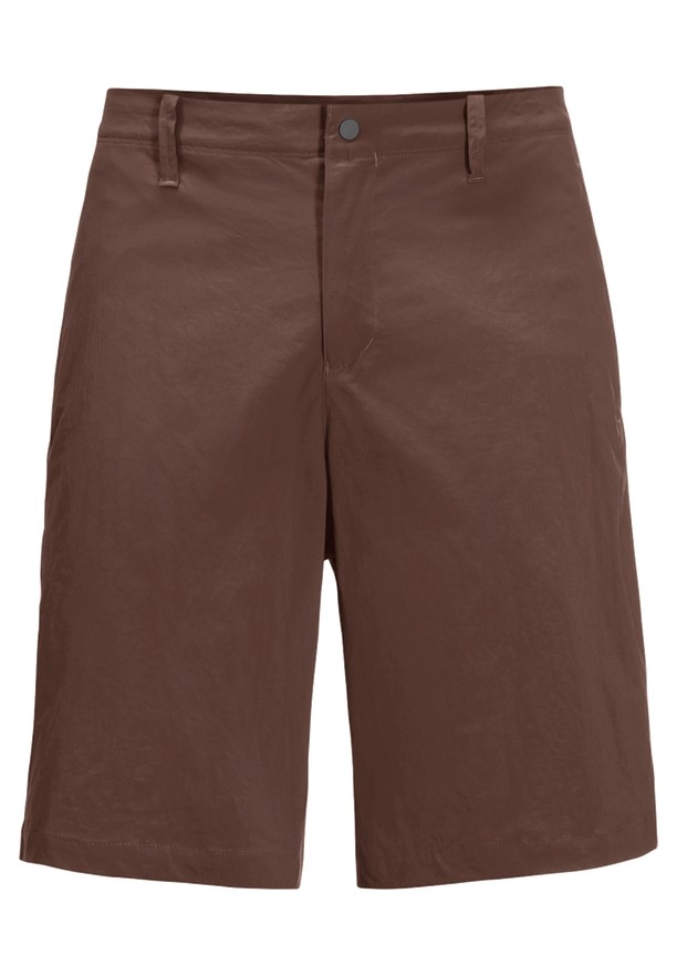 Chocolate Men Jack Wolfskin Desert Shorts | 23292587