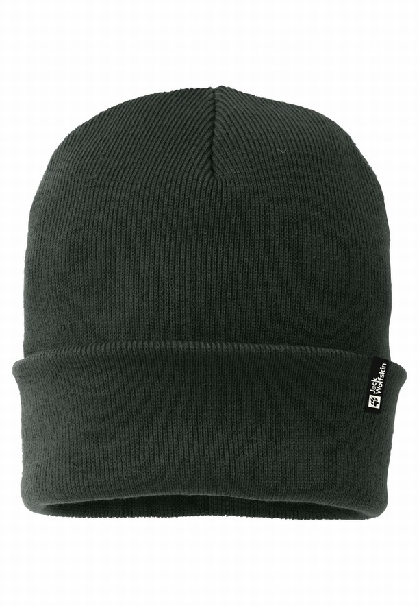 Green Men Jack Wolfskin Rib Beanie | 10846172