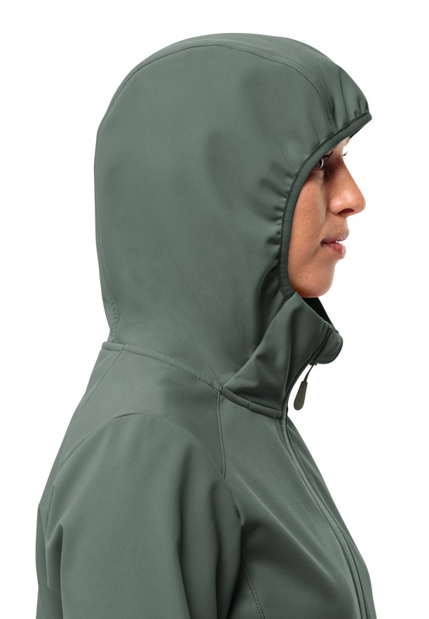 Green Women Jack Wolfskin Bornberg Hoody Softshell Jackets | 17046882