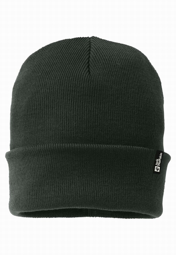 Green Women Jack Wolfskin Rib Beanie | 18061111