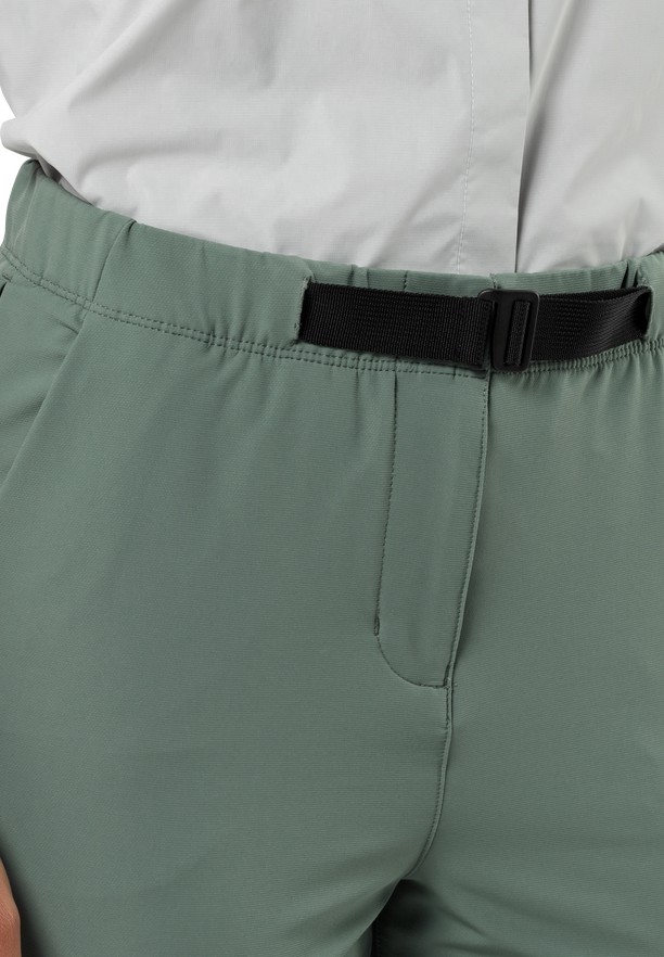 Green Women Jack Wolfskin Wandermood Hiking Pants | 24889127