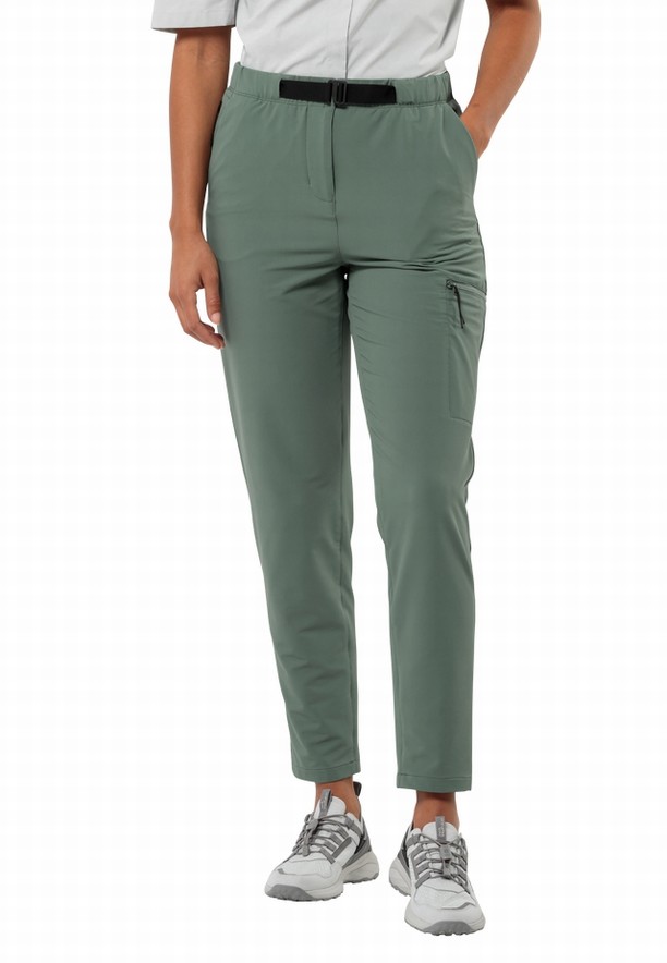 Green Women Jack Wolfskin Wandermood Hiking Pants | 24889127