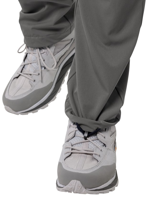 Grey Men Jack Wolfskin Alpine Hiking Pants | 22339099