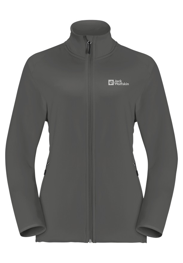 Grey Men Jack Wolfskin Baiselberg Fz Fleece Jackets | 35494618