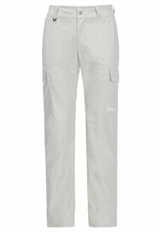 Grey Men Jack Wolfskin Barrier Pant Hiking Pants | 26225969