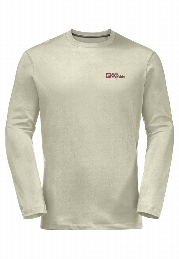 Grey Men Jack Wolfskin Essential Longsleeve T Shirts | 53818046