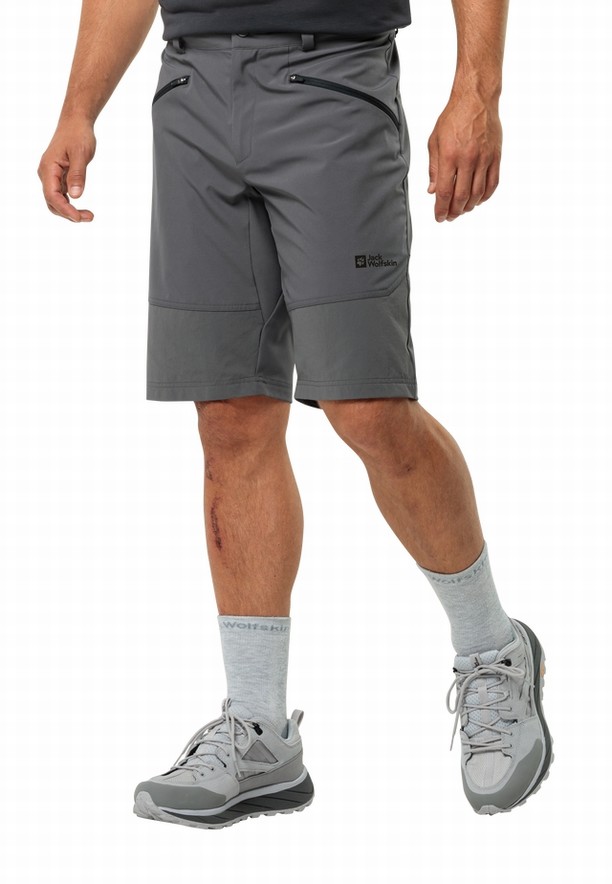 Grey Men Jack Wolfskin Hiking Alpine Shorts | 91630502