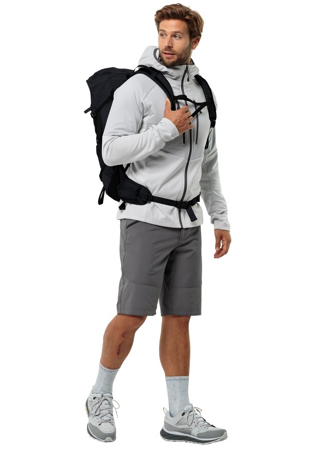 Grey Men Jack Wolfskin Hiking Alpine Shorts | 91630502