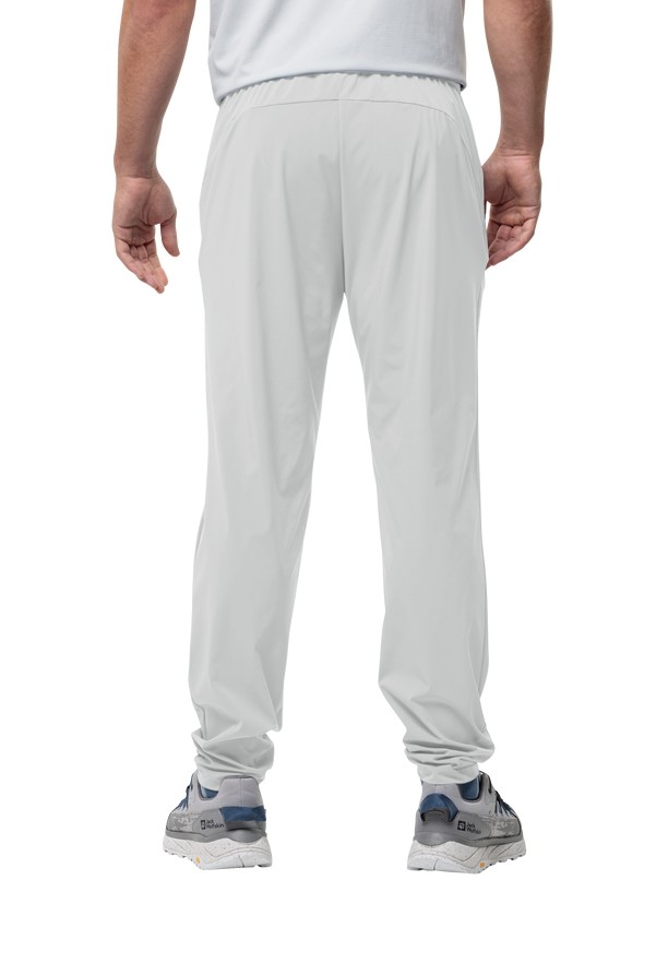 Grey Men Jack Wolfskin Prelight Chill Hiking Pants | 13826062