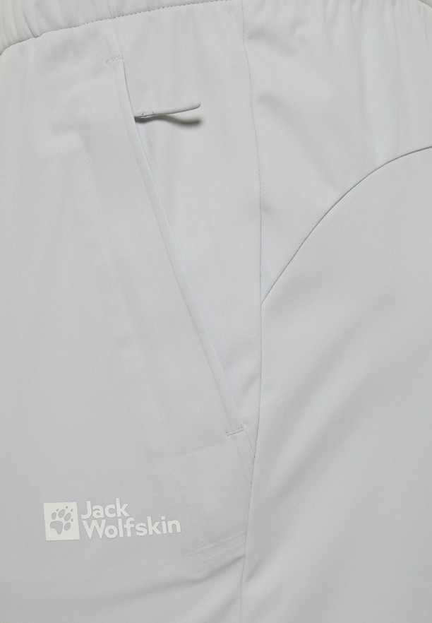 Grey Men Jack Wolfskin Prelight Pro Pants | 96790656