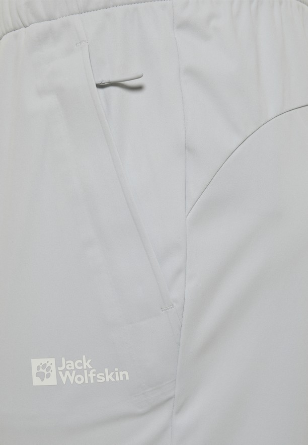 Grey Men Jack Wolfskin Prelight Pro Pants | 96790656