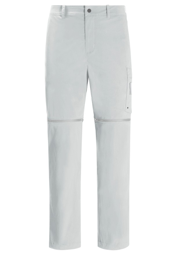 Grey Men Jack Wolfskin Wanderthirst Zip Pants | 46689839