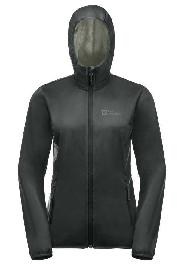 Grey Women Jack Wolfskin Bornberg Hoody Jackets | 51750572