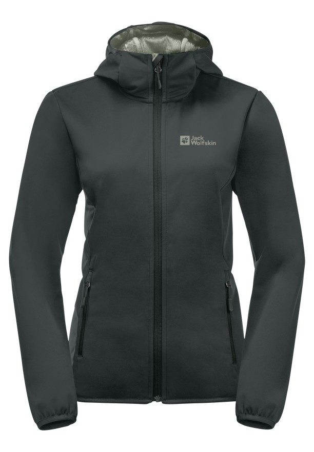 Grey Women Jack Wolfskin Bornberg Hoody Jackets | 51750572