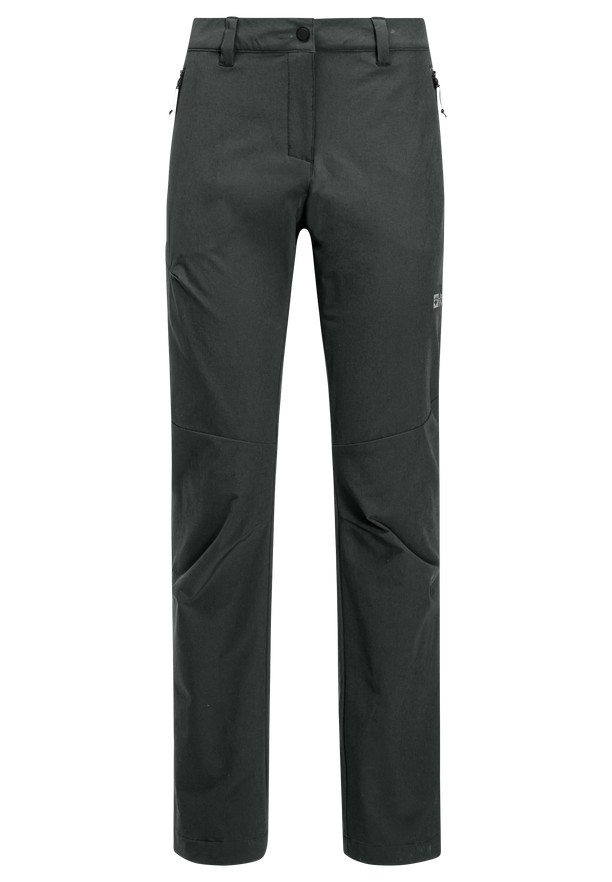 Grey Women Jack Wolfskin Holdsteig Hiking Pants | 25899929
