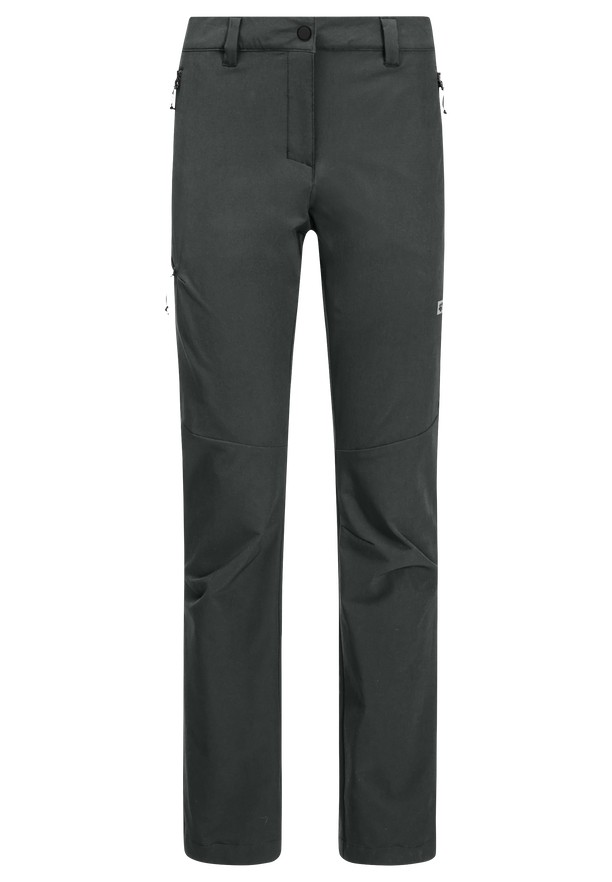 Grey Women Jack Wolfskin Holdsteig Hiking Pants | 25899929