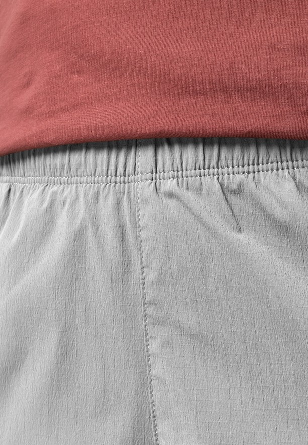 Grey Women Jack Wolfskin Wanderthirst Shorts | 84963144